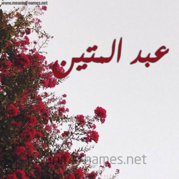 شكل 18 صوره الورد الأحمر للإسم بخط رقعة صورة اسم عبد المتين ABD-ALMTIN